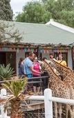 Туры в отель Chandelier Game Lodge