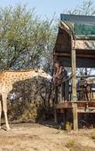 Туры в отель Chandelier Game Lodge