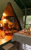 Туры в отель Chandelier Game Lodge