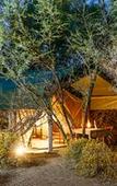 Туры в отель Chandelier Game Lodge