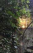 Туры в отель Ducks Country House