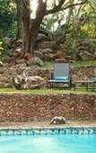 Туры в отель Woodlands Guest House Hazyview