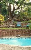 Туры в отель Woodlands Guest House Hazyview