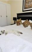 Туры в отель Arum Place Guest House