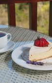 Туры в отель ArendsRus Country Lodge