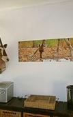 Туры в отель Normann Safari Bush Lodge