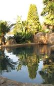 Туры в отель Acacia House Executive Suite