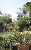 Туры в отель Acacia House Executive Suite