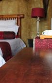 Туры в отель The Catwalk Lodge
