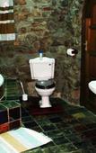 Туры в отель The Catwalk Lodge