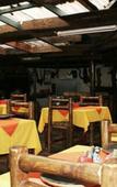 Туры в отель The Catwalk Lodge