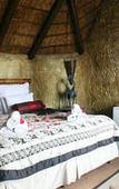 Туры в отель The Catwalk Lodge