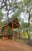 Туры в отель Sausage Tree Safari Camp