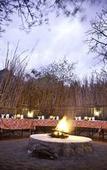 Туры в отель Sausage Tree Safari Camp