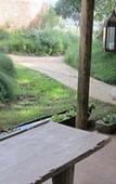 Туры в отель Emily Moon River Lodge