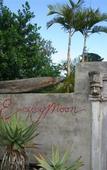 Туры в отель Emily Moon River Lodge