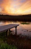 Туры в отель Emily Moon River Lodge
