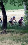 Туры в отель Surval Boutique Olive Estate