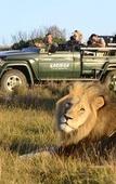 Туры в отель Kariega Game Reserve Settlers Drift