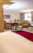 Туры в отель Southern Sun Pretoria