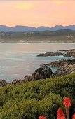 Туры в отель Kleinzee Oceanfront Guesthouse