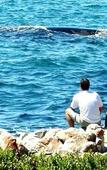 Туры в отель Kleinzee Oceanfront Guesthouse
