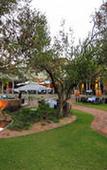 Туры в отель Bushveld Terrace Safari Hotel, Lodge & Spa