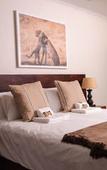 Туры в отель Bushveld Terrace Safari Hotel, Lodge & Spa