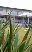 Туры в отель Bushveld Terrace Safari Hotel, Lodge & Spa