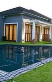 Туры в отель Two Fat Owls Guesthouse