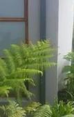 Туры в отель Two Fat Owls Guesthouse