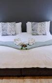 Туры в отель Two Fat Owls Guesthouse