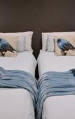 Туры в отель Two Fat Owls Guesthouse