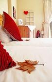 Туры в отель Autumn Breeze Manor