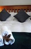 Туры в отель Autumn Breeze Manor