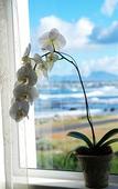 Туры в отель 138 Marine Beachfront Guesthouse
