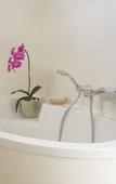 Туры в отель 138 Marine Beachfront Guesthouse