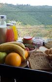 Туры в отель The Hilton Bush Lodge