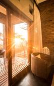 Туры в отель The Hilton Bush Lodge