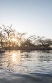 Туры в отель The Hilton Bush Lodge