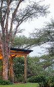Туры в отель The Hilton Bush Lodge