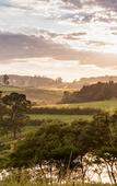 Туры в отель The Hilton Bush Lodge