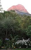 Туры в отель Blaauwheim Guest House