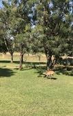 Туры в отель Hamiltons Lodge & Restaurant