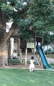 Туры в отель Hamiltons Lodge & Restaurant