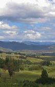 Туры в отель Mont d'Or Clarens