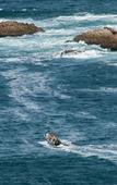 Туры в отель The Mount Knysna