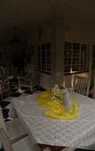 Туры в отель Grey Manor Guesthouse