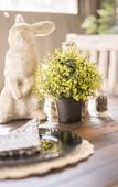 Туры в отель Grey Manor Guesthouse