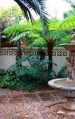 Туры в отель Rozendal Guest House